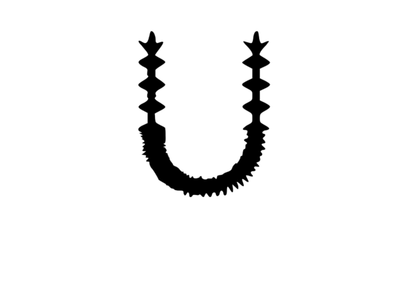 Crazy Spiky Cactus Themed Mono T